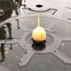 日曜日の朝、連休なか日に台風上陸で御注意の程 m(._.)m