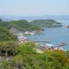観光のお目当て