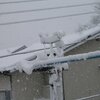 きょうは雪