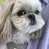 スケーリングの日