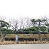 姫路城の景観と樹木　その2   Himeji Castle landscape and trees.　Part2