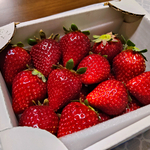 《千葉》希少!! 真紅の美鈴 くろいちご!!