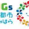 「さがみはら みんなの SDGs 宣言」開始︕（2022/12/25）