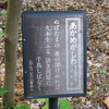 万葉歌碑を訪ねて（その１８３９～１８４１）―松山市御幸町　護国神社・万葉苑（４，５，６）―万葉集　巻六　九二五、巻十九　四一六四、巻十　一八七二