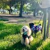 危険な暑さ