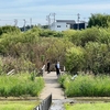 大堀川防災調節池（千葉県流山）