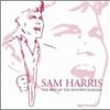 Sugar Don't Bite/SAM HARRIS～アーティストとアイドルの狭間に揺れた時代の徒花