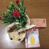 不安と向き合い、付き合っていく日々へ  