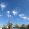 Altocumulus with Virga 