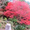 海藏山  龍雲寺の紅葉など ④ （島根県浜田市）