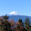 陣馬山～景信山経由で高尾山　天気よく最高。富士山もよく見えた