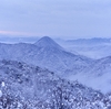 高山の巌に生ふる･･･巻第20-4454