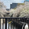 土曜日