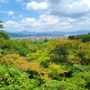 【京都】嵐山、『大河内山荘庭園』に行ってきました。 京都旅行 女子旅 旅写真 