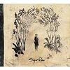 気まぐれディスクレビューvol.5　Sigur Ros 「takk...」