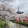 京都日帰り花見旅（前半）：ANAプレミアムクラス～本満寺～本法寺～水火天満宮～妙覚寺～キッチンゴン