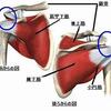 ローテーターカフの筋トレやストレッチなどで痛みが出る時に気をつけたいポイントは？