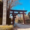 思いがけぬ発見 根津神社