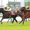 競馬初心者必見☆馬券予想🔥〜阪神牝馬S〜血統分析から好走馬を導き出す！