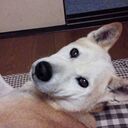 めるしーの日記