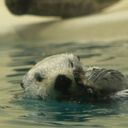 ぼくと〇〇