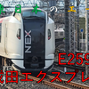 【JR東日本のエース】E259系　成田エクスプレスに乗ってみた！