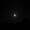 今夜の月
