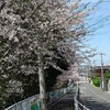 中央公園の帰り