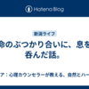 命のぶつかり合いに、息を呑んだ話。