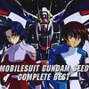 機動戦士ガンダムSEED