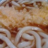 いか天ぷら　うどん