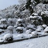 今朝は南岸低気圧の重たい雪、でも、除雪機は快調！