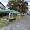 ３年ぶりの開催です。