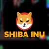 SHIBバーン率162.85%増加！価格ブレイクアウトまであと一歩か