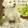 「犬と私の10の約束」