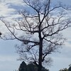 人生って何だろう？