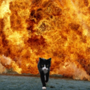 Je m'appelle  "Koznyan"