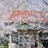 にっぽん桜めぐり | 深澤 武 (著) | 2026年書評27