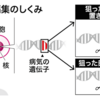 新時代の幕開け！！ゲノム編集やデザイナーベビーの示すもの…