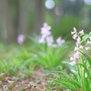 日程調整