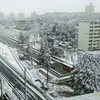 今年2回目の雪　２月２日　前日の雨から雪に　朝から雪景色・・・