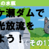神奈川の水瓶・宮ケ瀬ダムで観光放流を見よう！（2-1）