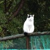 袖ケ浦公園　生まれも育ちも袖ケ浦公園