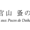 【素敵なイベント情報 in東京】代官山 蚤の市_2015