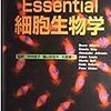 緊急で英語を勉強しないといかんので