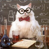  「化学猫」（化け猫じゃないよ）が面白い