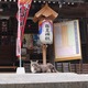 【岡山県内日帰りドライブ】井原の縣主神社から勢い余ってプチ県境越え。福山で久しぶりに味わう尾道ラーメン