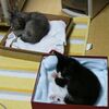 我が家へ