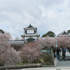 金沢城公園の桜！見どころの天守閣・五十間長屋の入場料・櫓・お堀・石垣の詳細