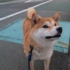 ここからが勝負のエスパルスファミリー